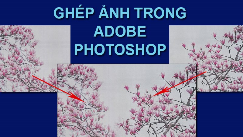 Cách ghép người, hoa lá, mây trời vào ảnh bằng Photoshop trên máy tính