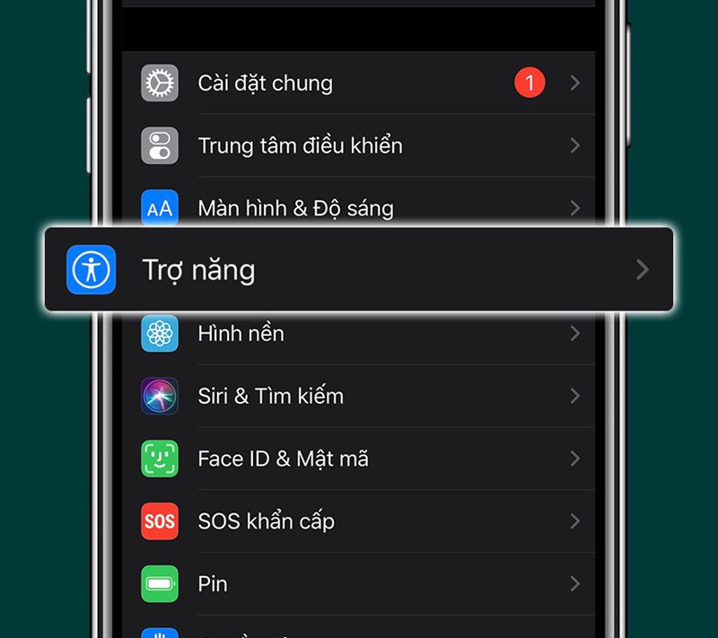Vào giao diện trợ năng.