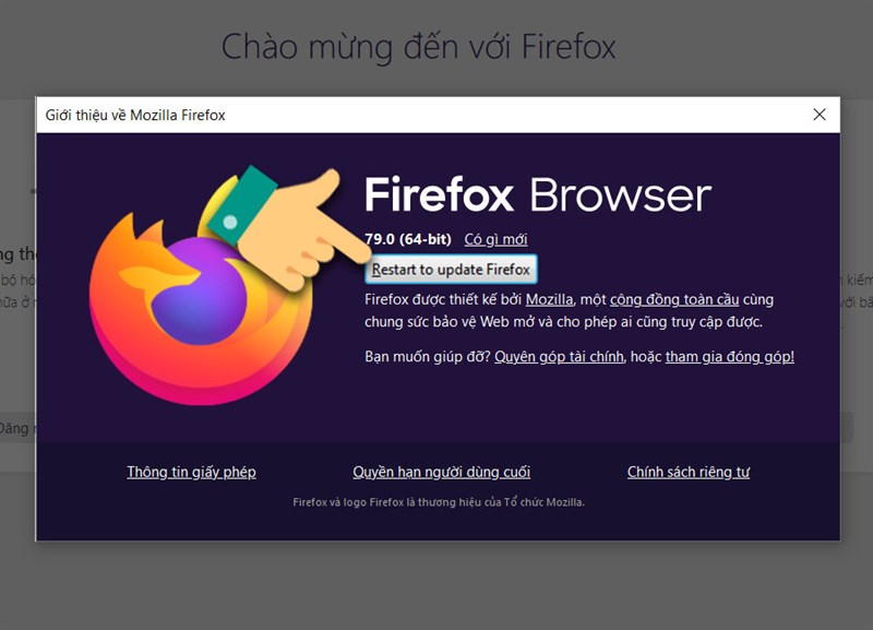 Khởi động lại trình duyệt.