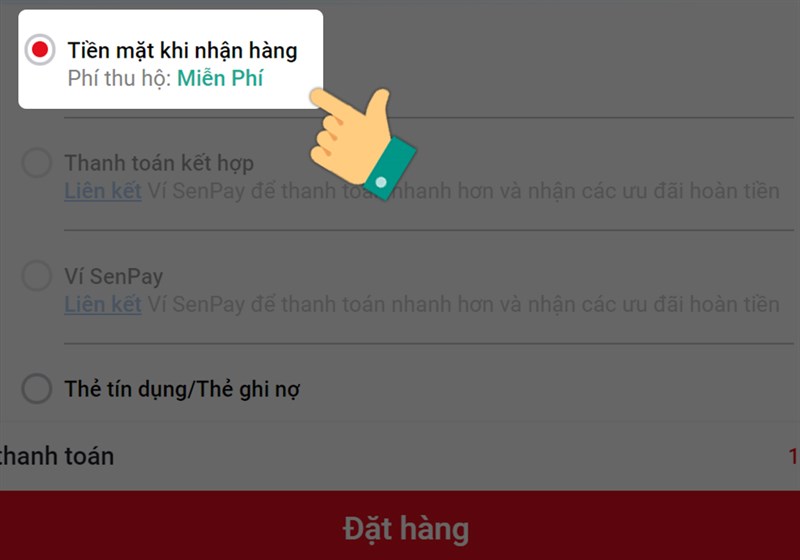 Chọn hình thức thanh toán