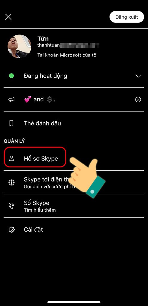 Nhấn vào Hồ sơ Skype