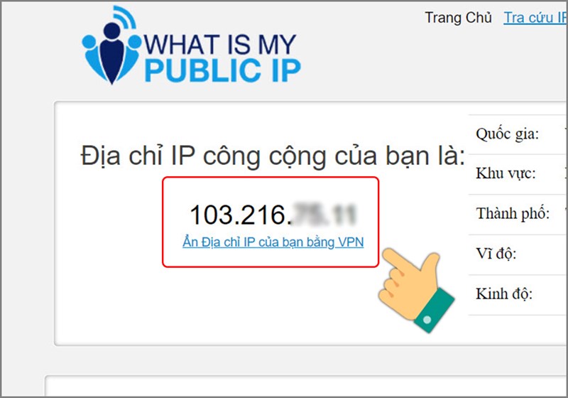 Trang web https://whatismypublicip.com