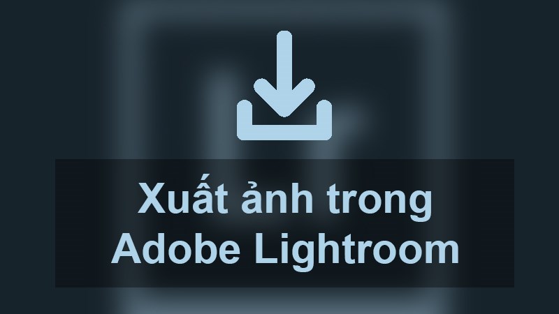Cách xuất ảnh (export ảnh) trong Lightroom trên điện thoại và máy tính