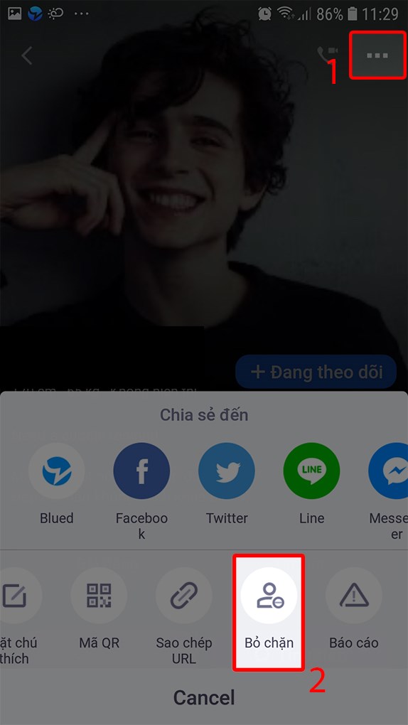Nhấn vào biểu tượng ba dấu chấm nằm ngang và chọn bỏ chặn để bỏ chặn thành công trên Blued