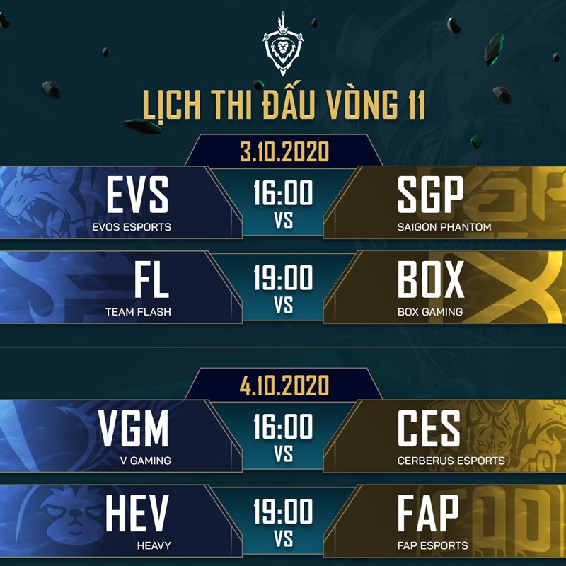 Vòng 11