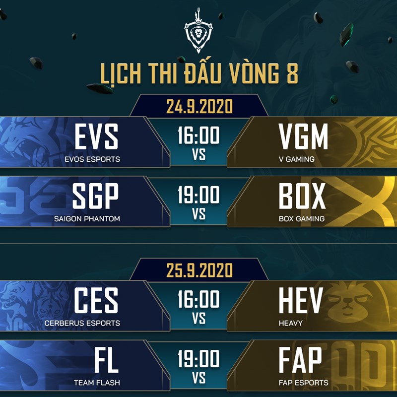Vòng 8
