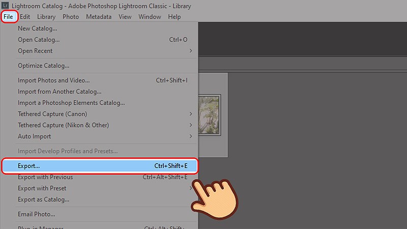 Cách xuất ảnh (export ảnh) trong Lightroom trên điện thoại và máy tính 1