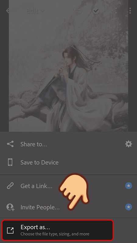 Cách xuất ảnh (export ảnh) trong Lightroom trên điện thoại 2