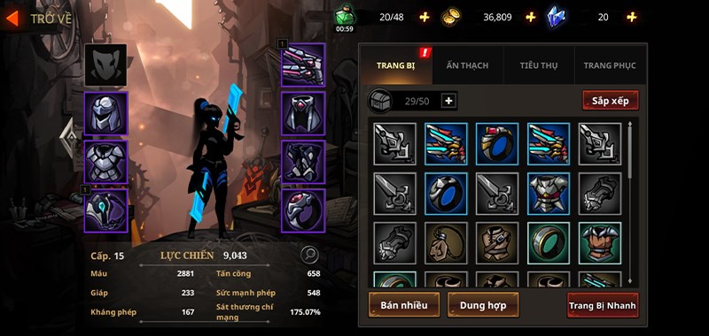 Ausrüstung des Charakters in Shadow Knight