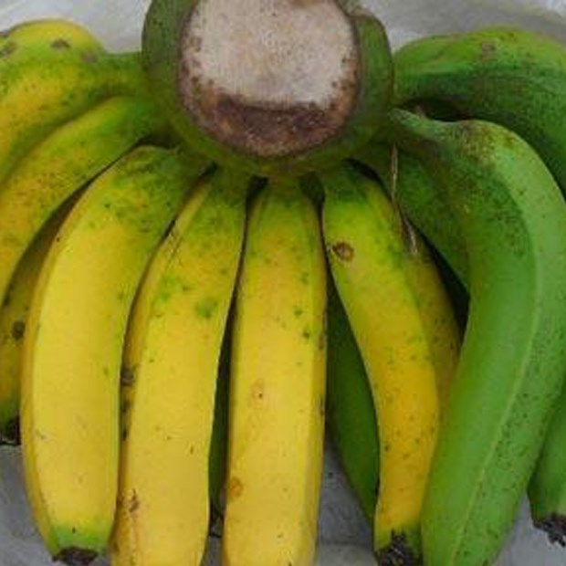 Cách ủ chuối nhanh chín tại nhà