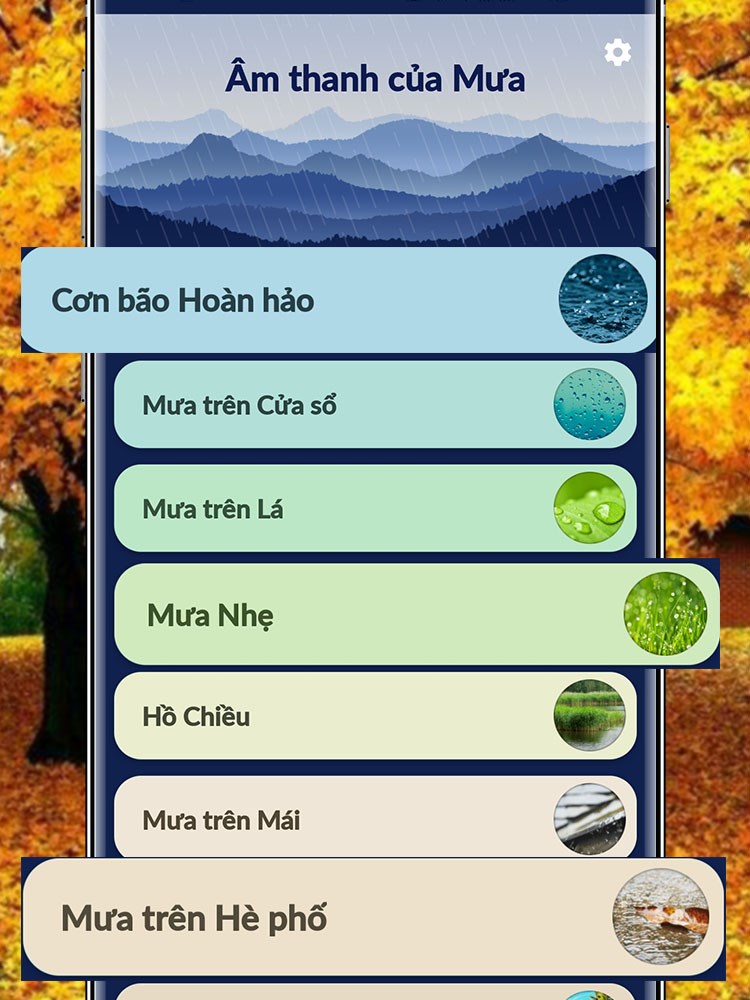 Thưởng thức 12 &acirc;m thanh kh&aacute;c nhau của mưa