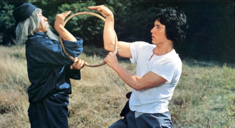 Xà Hình Điêu Thủ (Snake in the Eagle's Shadow)