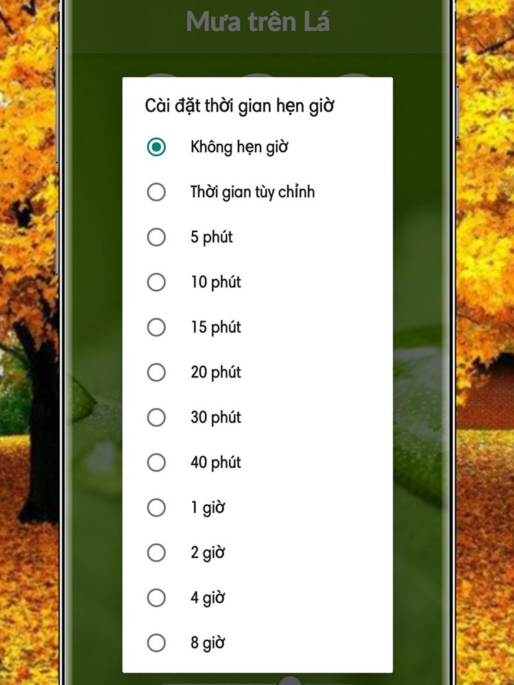 Hẹn giờ để ứng dụng tự động tắt nhạc