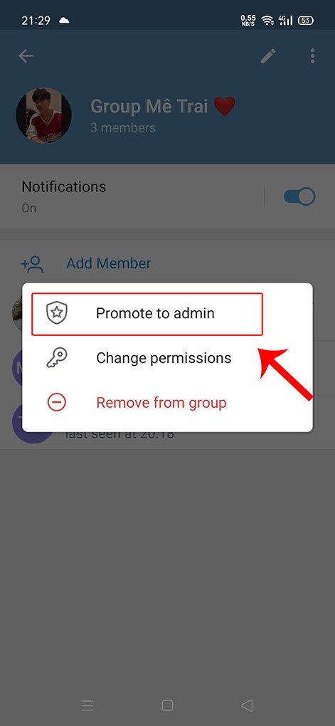 Nhấn giữ tên thành viên mà bạn muốn thiết lập quyền > Chọn Promote to Admin để thiết lập quyền Admin. 