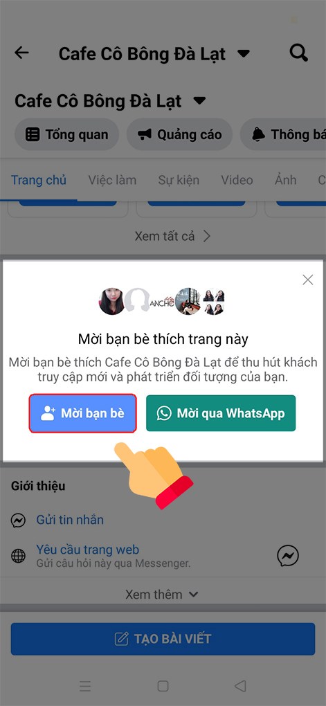 Tại mục Mời bạn bè thích trang này, chọn Mời bạn bè.