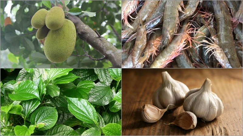 Nguyên liệu món ăn canh mít non với nghệ, canh mít non tôm lá lốt và canh mít non sườn