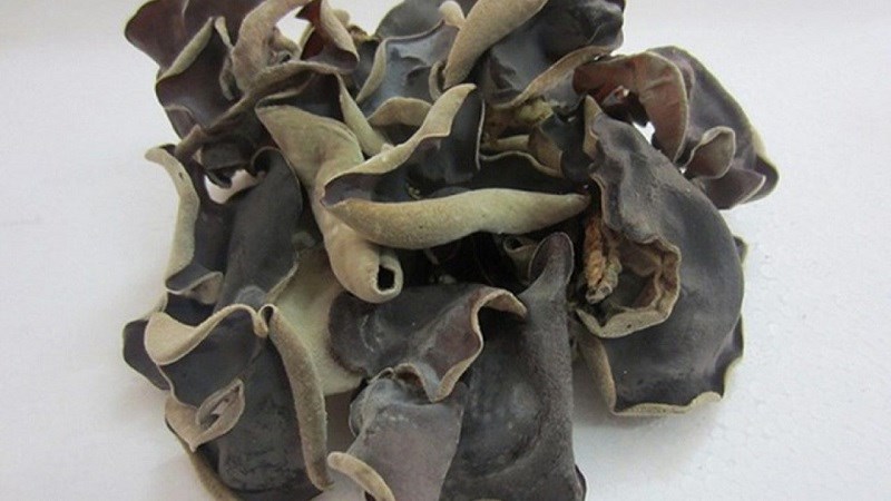 Chọn nấm mèo đen