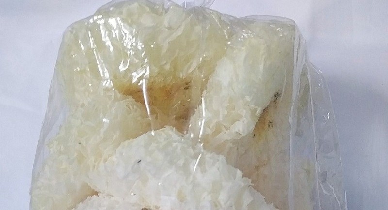 Bảo quản nấm mèo tuyết