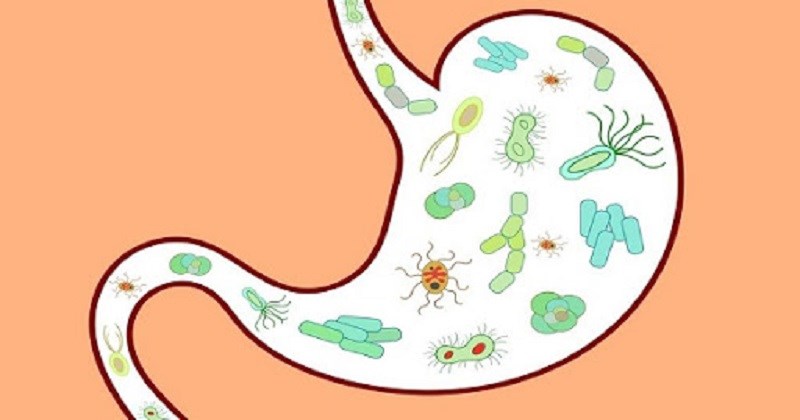 Rau ngót có thể giảm hấp thụ phốt pho và canxi