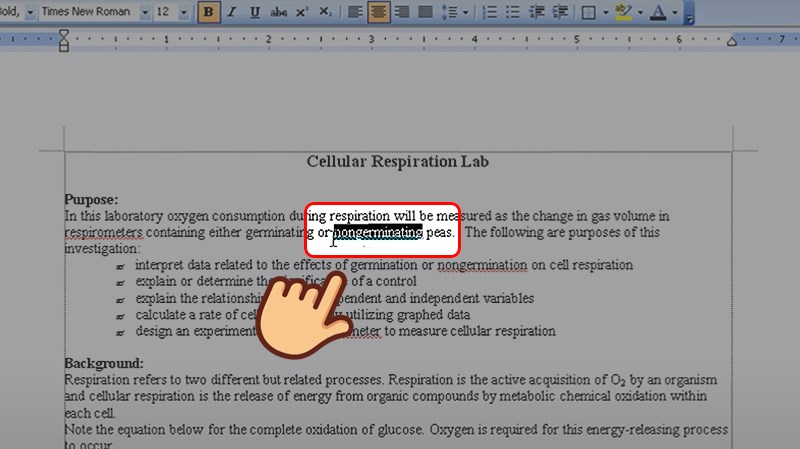Tạo comment trong word 2003 1