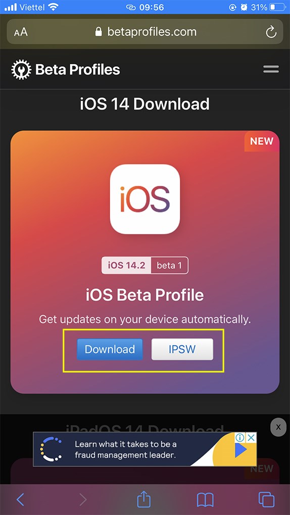 Chọn phiên bản iOS 14 Beta mới nhất