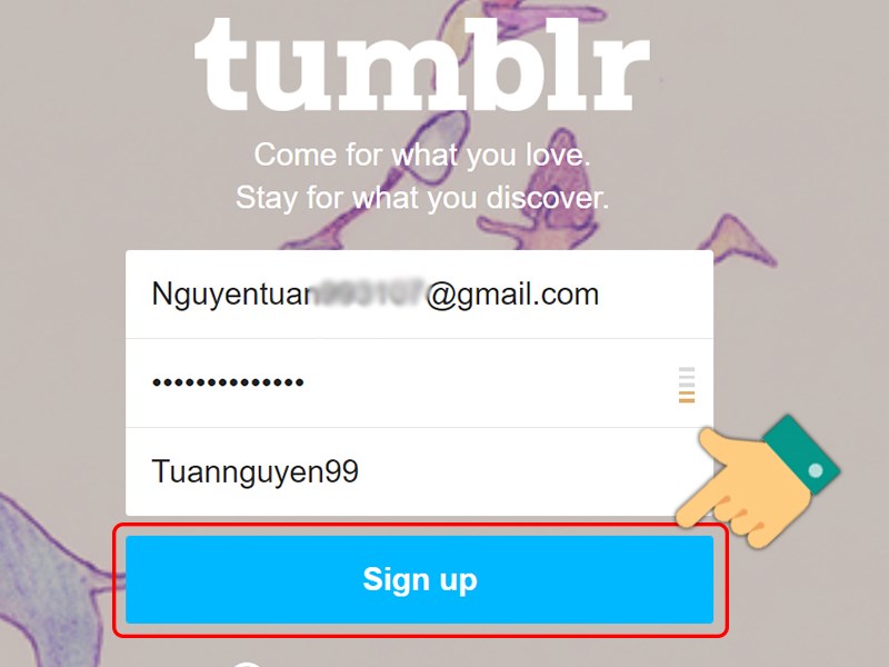 Nhập địa chỉ email, mật khẩu, tên tài khoản để tạo tài khoản