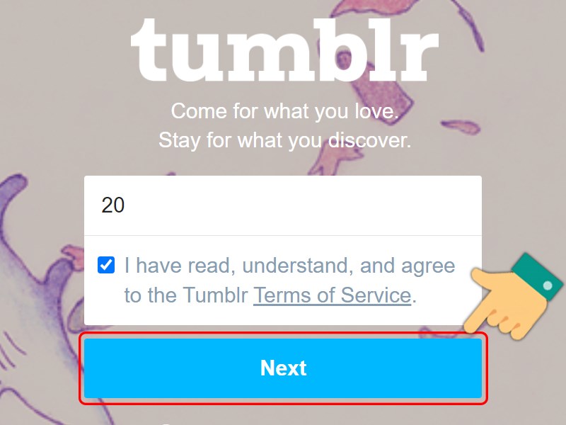 Nhập số tuổi của bạn và đồng ý các điều khoản của Tumblr