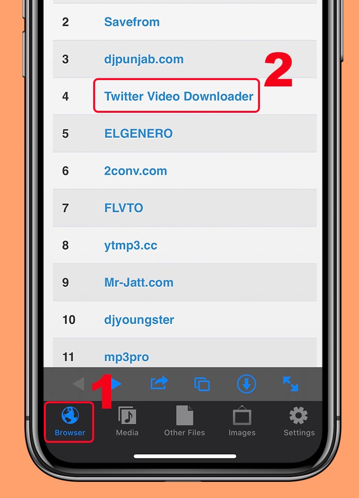 Bạn hãy chọn Twitter video Downloader