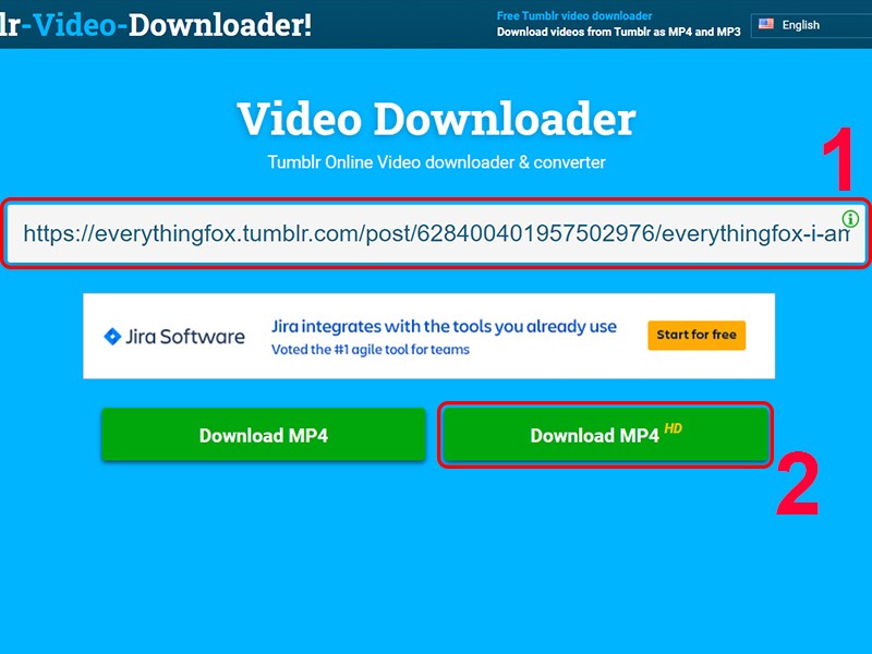 Dán đường link vào trang web Video Downloader và chọn định dạng video muốn tải