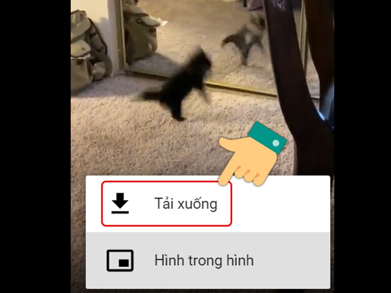 Tải video trên Tumblr bằng Video Downloader