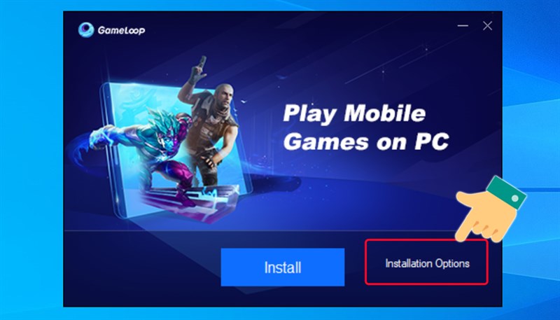 Nhấn vào Installation Options