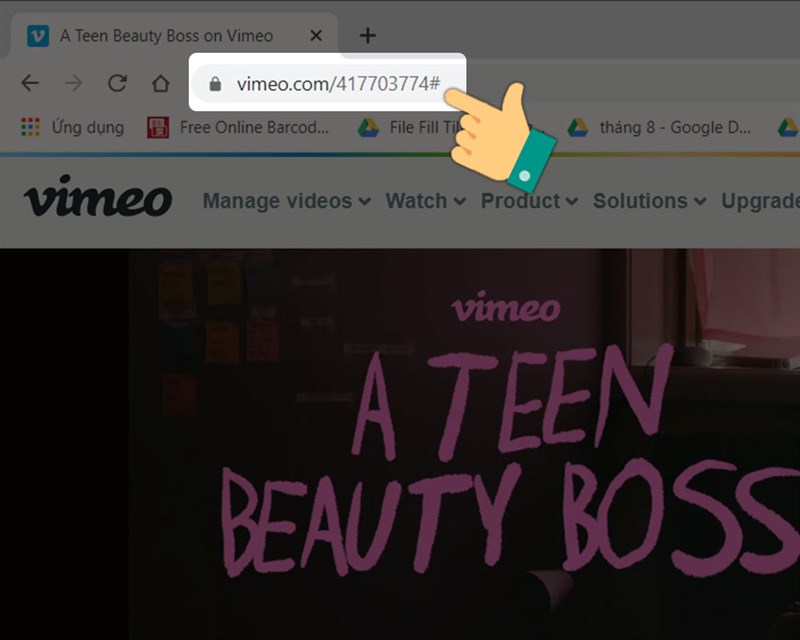 Sao chép đường dẫn video trên Vimeo