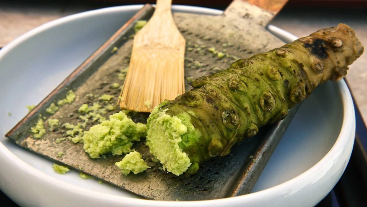 Wasabi là gì? Khác gì với mù tạt? Phân biệt thật giả và các món ăn