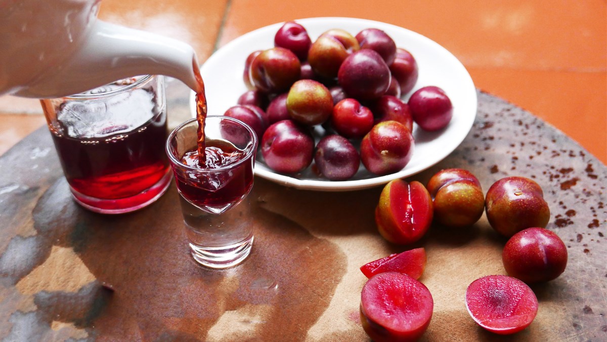 Hướng dẫn cách làm rượu vang mận từ trái cây tự nhiên
