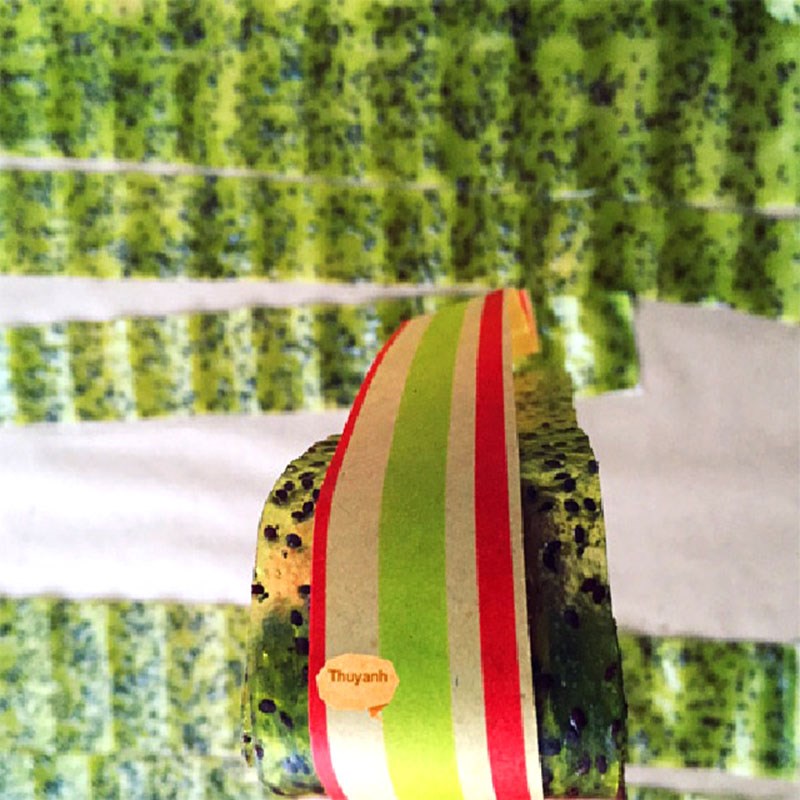 Bước 3 Hoàn thành Kẹo cuộn kiwi