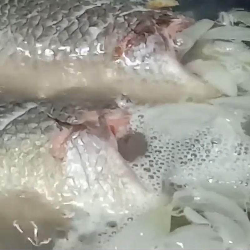 Bước 4 Nấu cá Canh cá rô rau ngót