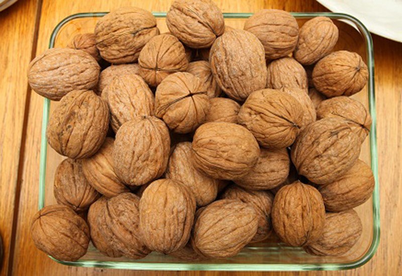 Quả &oacute;c ch&oacute; d&ograve;ng Chandler