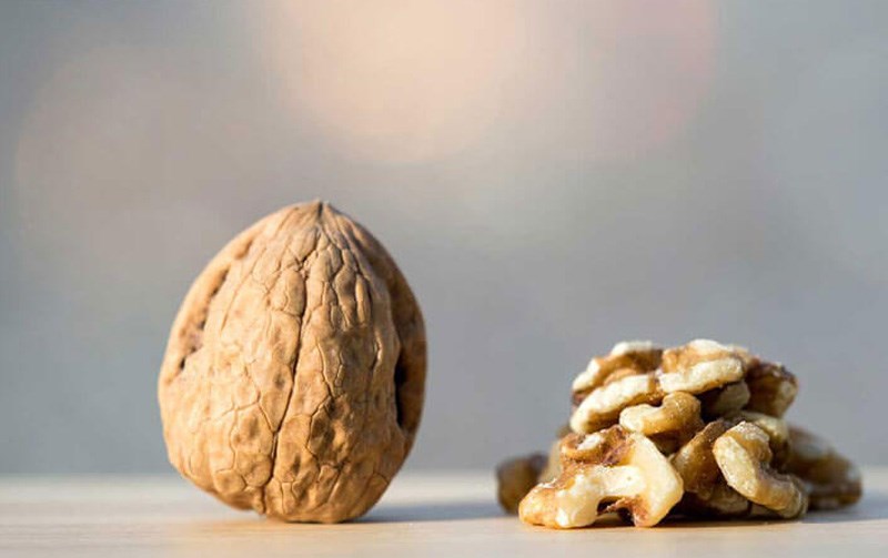 Quả &oacute;c ch&oacute; d&ograve;ng Hartley