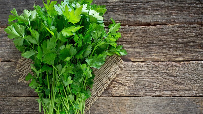 rau Parsley