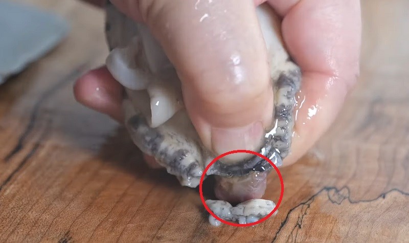 Dùng ngón tay trỏ nhấn vào phần răng