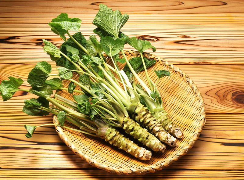 nguồn gốc của wasabi