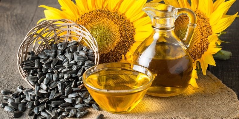 Công dụng của dầu phía dương