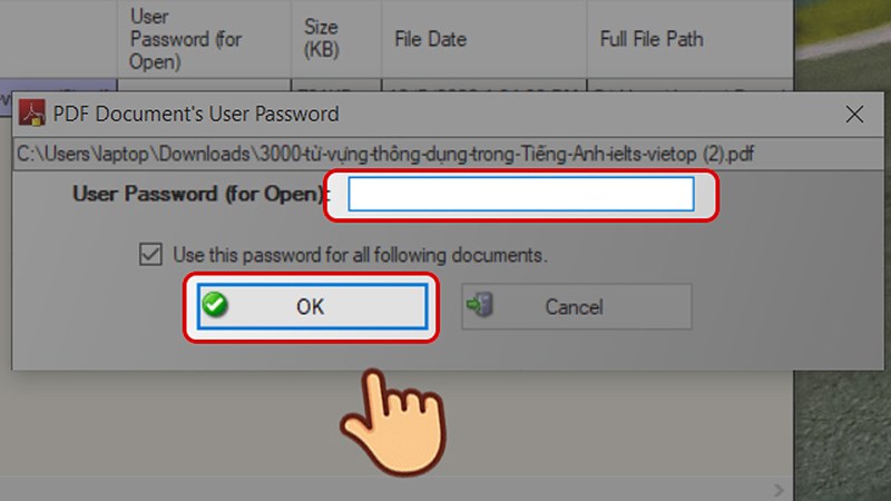 Nhập password mở file và nhấn OK.