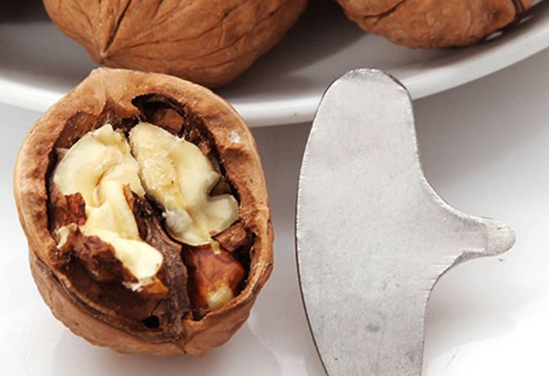 T&aacute;ch hạt &oacute;c ch&oacute; bằng m&oacute;c kh&oacute;a