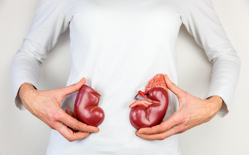 nước dừa tươi ngăn dự phòng sỏi thận