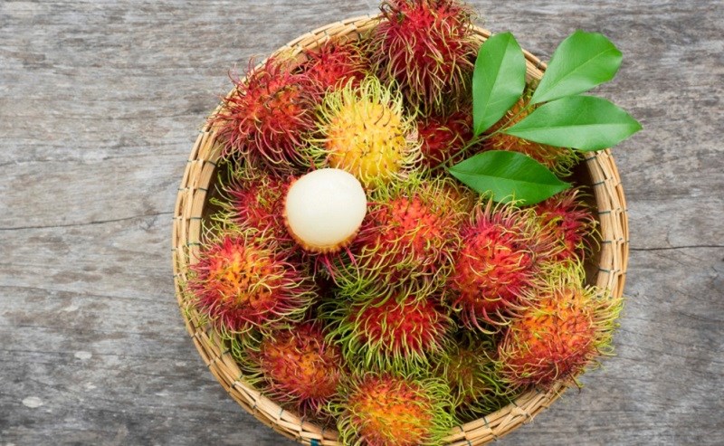 Lựa chọn chôm chôm theo loại giống