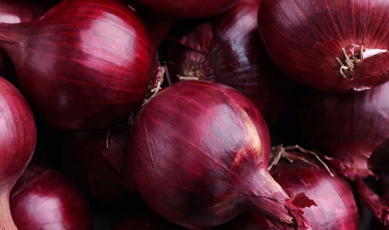 Hành tây tím (red onion)