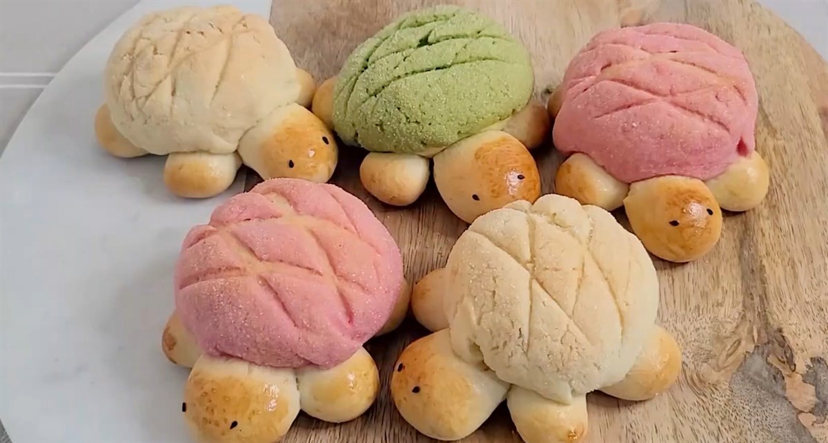 Bánh melonpan hình con rùa