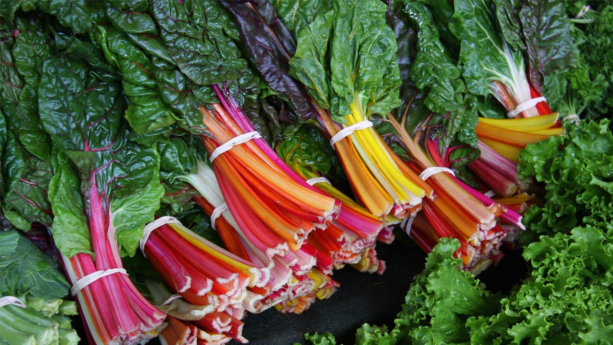 Cải cầu vồng là gì?