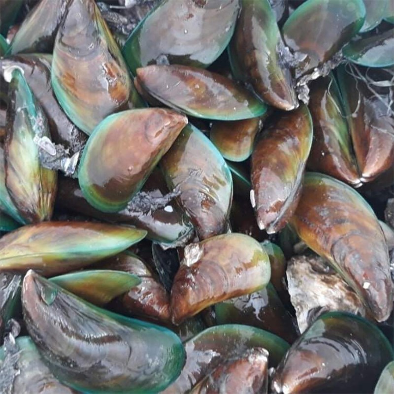 Bước 1 Sơ chế các nguyên liệu Cháo vẹm